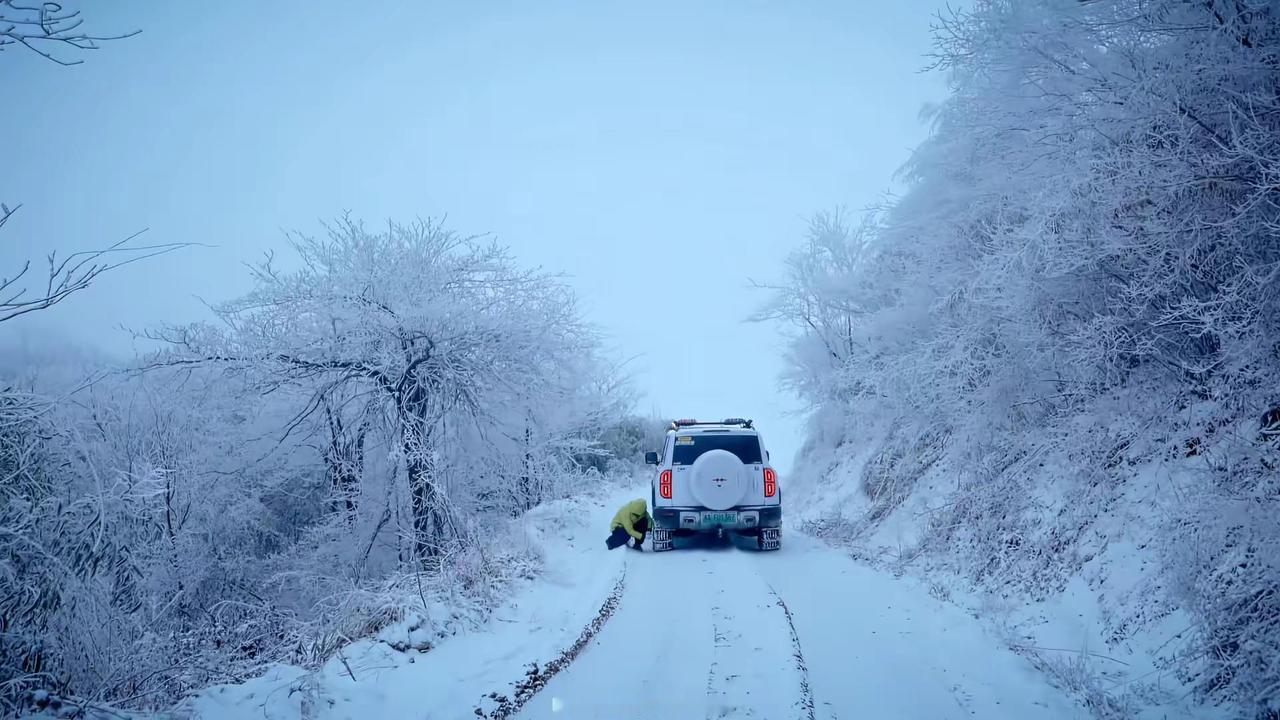 当雪花邂逅大地冬天的冷才有意义雾凇