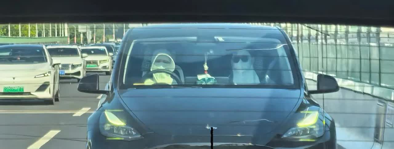 女生开车都是这么防晒嘛？哈哈哈！堵车时不经意瞄了一眼后视镜，以为是俩幽