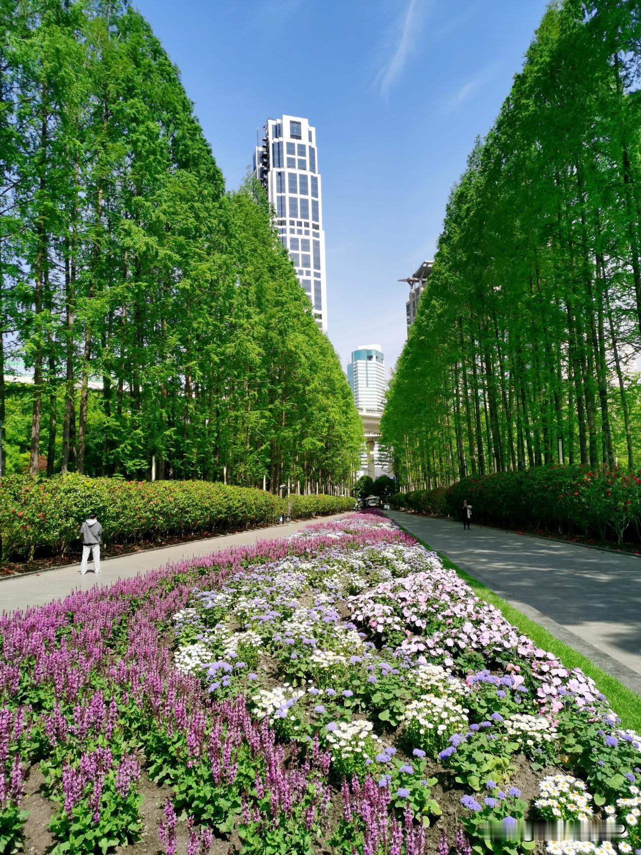 备忘录：“海上花开、马上精彩”！上海国际花卉节明天就开始了，我整理点基本信息