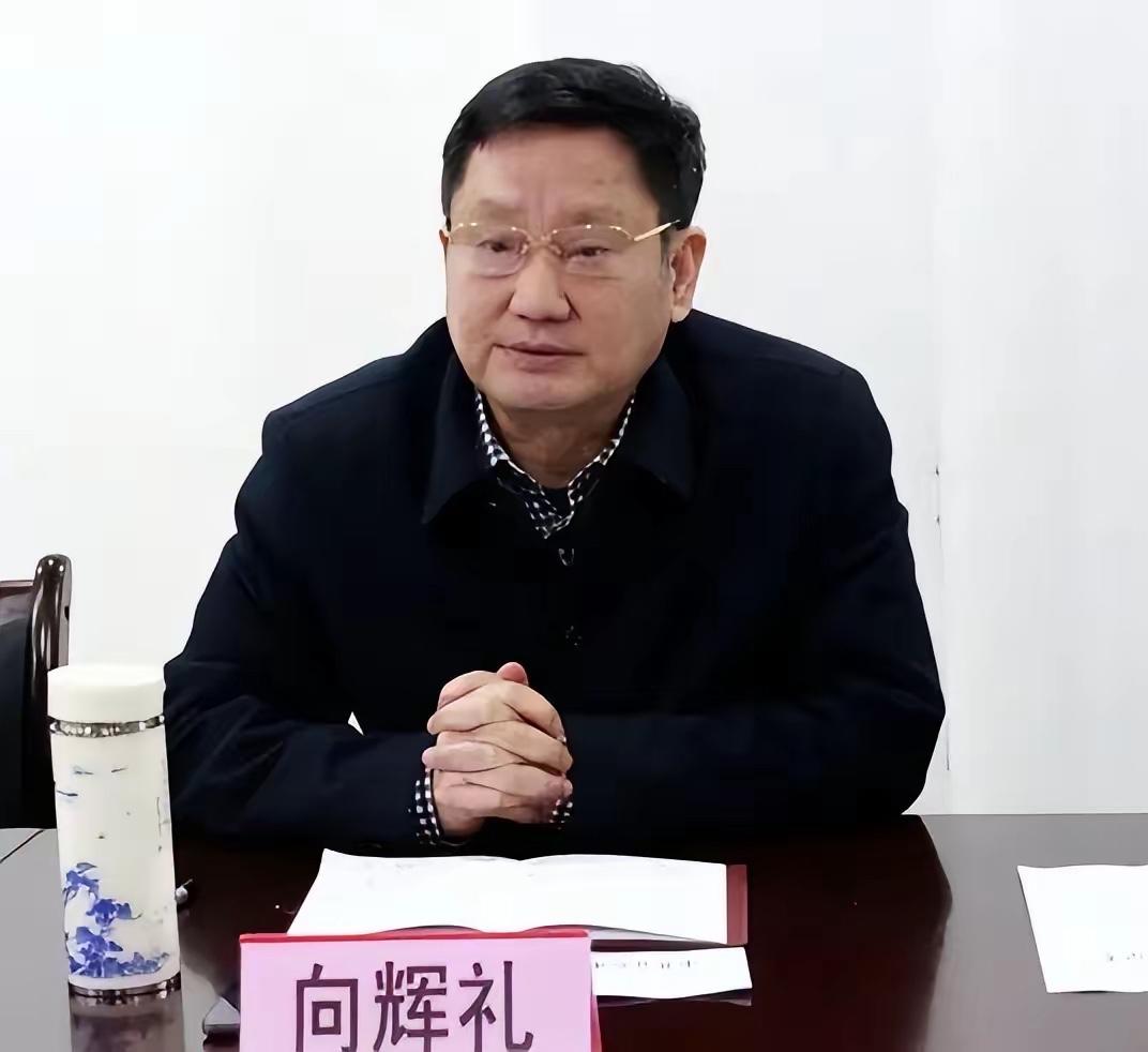 送情妇1200万，执纪干部自陷贪腐泥潭？管纪律的人，自己先坏了规矩。向辉礼在