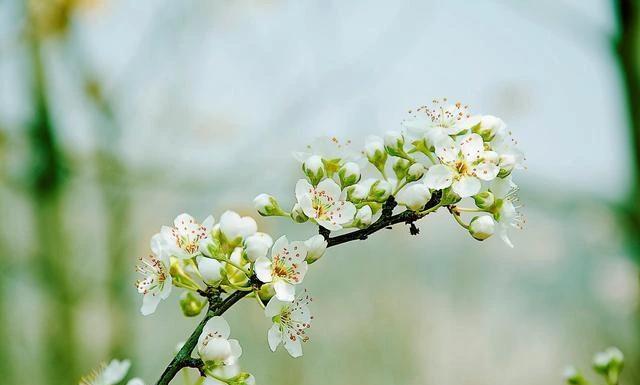 6月下旬，贵人相助，4属相机遇不断，横财大旺，生活更上一层楼属相猪对于属猪的