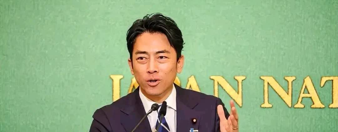 石破茂主动请辞以后，下任日本首相人选有可能来自“小泉家族”。最新的民意调查显