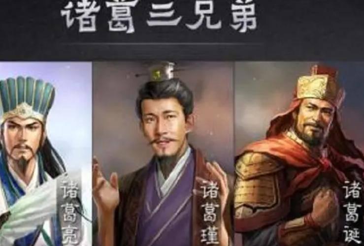 诸葛家族三兄弟因家族避乱和时局选择分投三国，诸葛瑾早年避乱江东投靠孙权，诸葛亮因