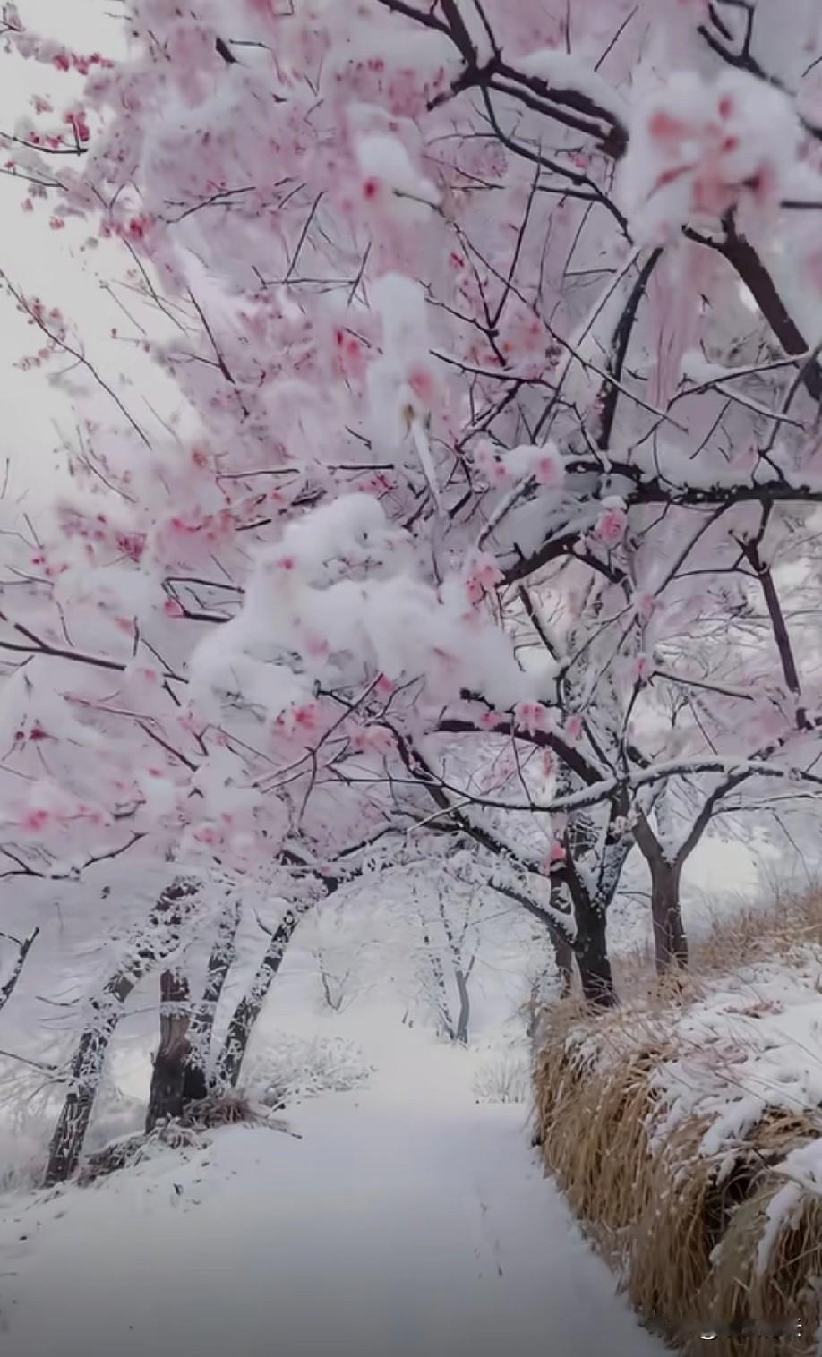 行走世间，最珍贵的从来不是拥有多少，而是敢舍弃多少。错的人，再优秀也只是消耗