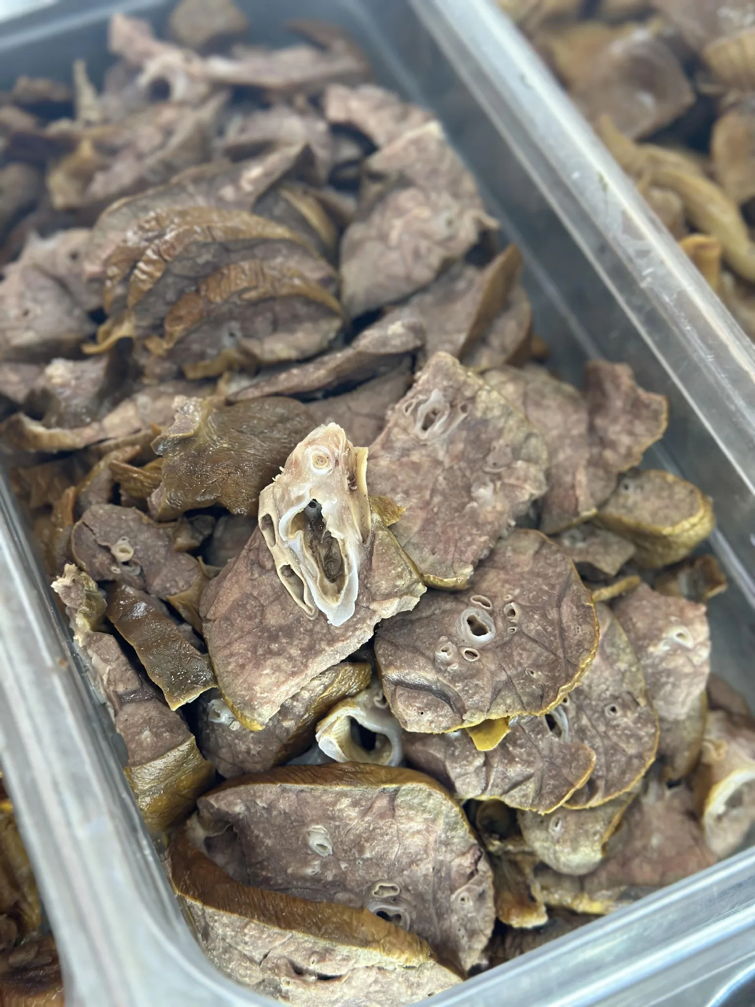 家人们谁懂啊！中午在食堂问阿姨菜里是啥肉，结果直接被“强塞”一盘子！这玩意看着乌