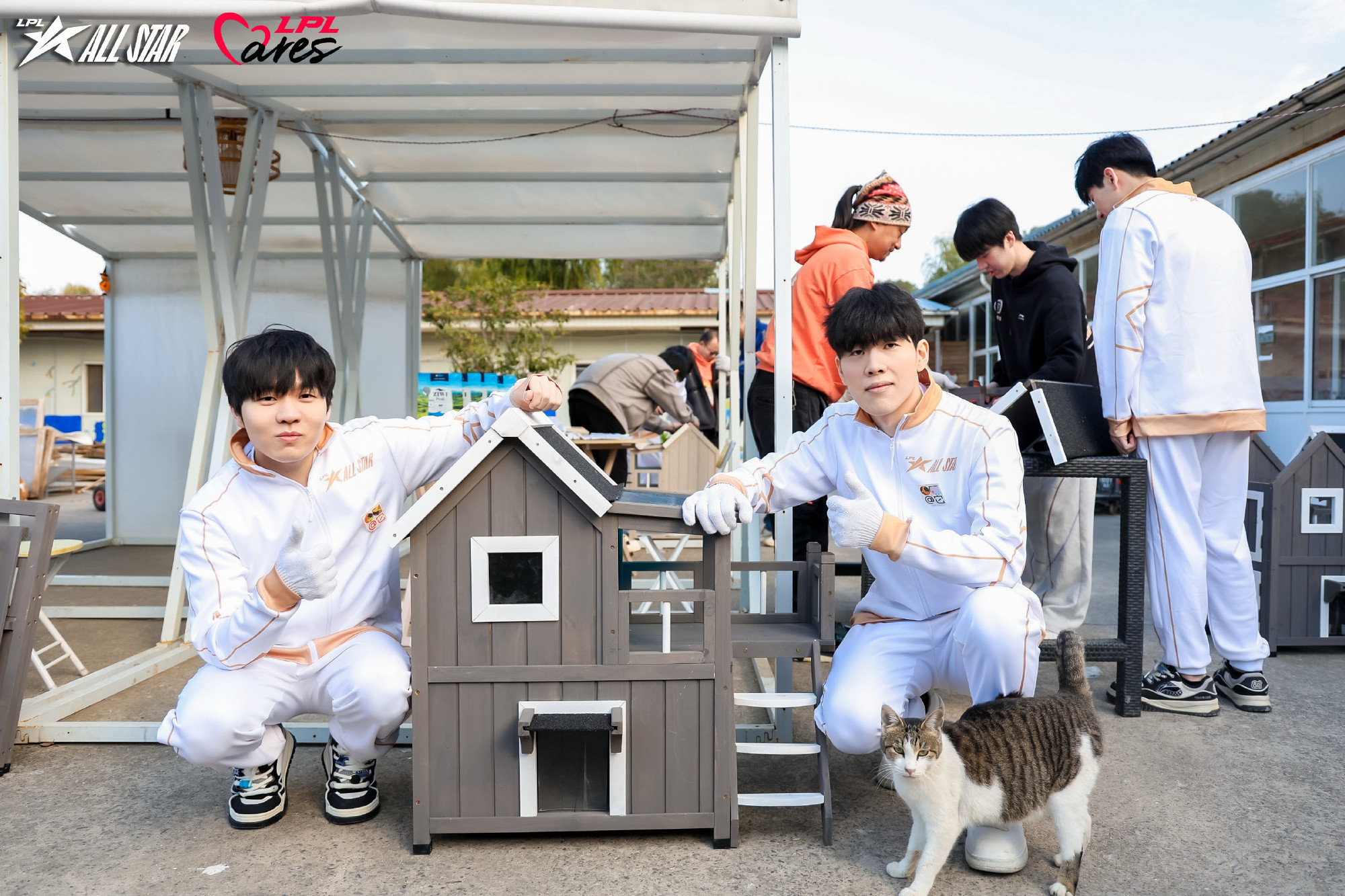 最有爱的一集！2025LPL全明星公益日，联盟组织LPL选手来到流浪猫之家做志愿