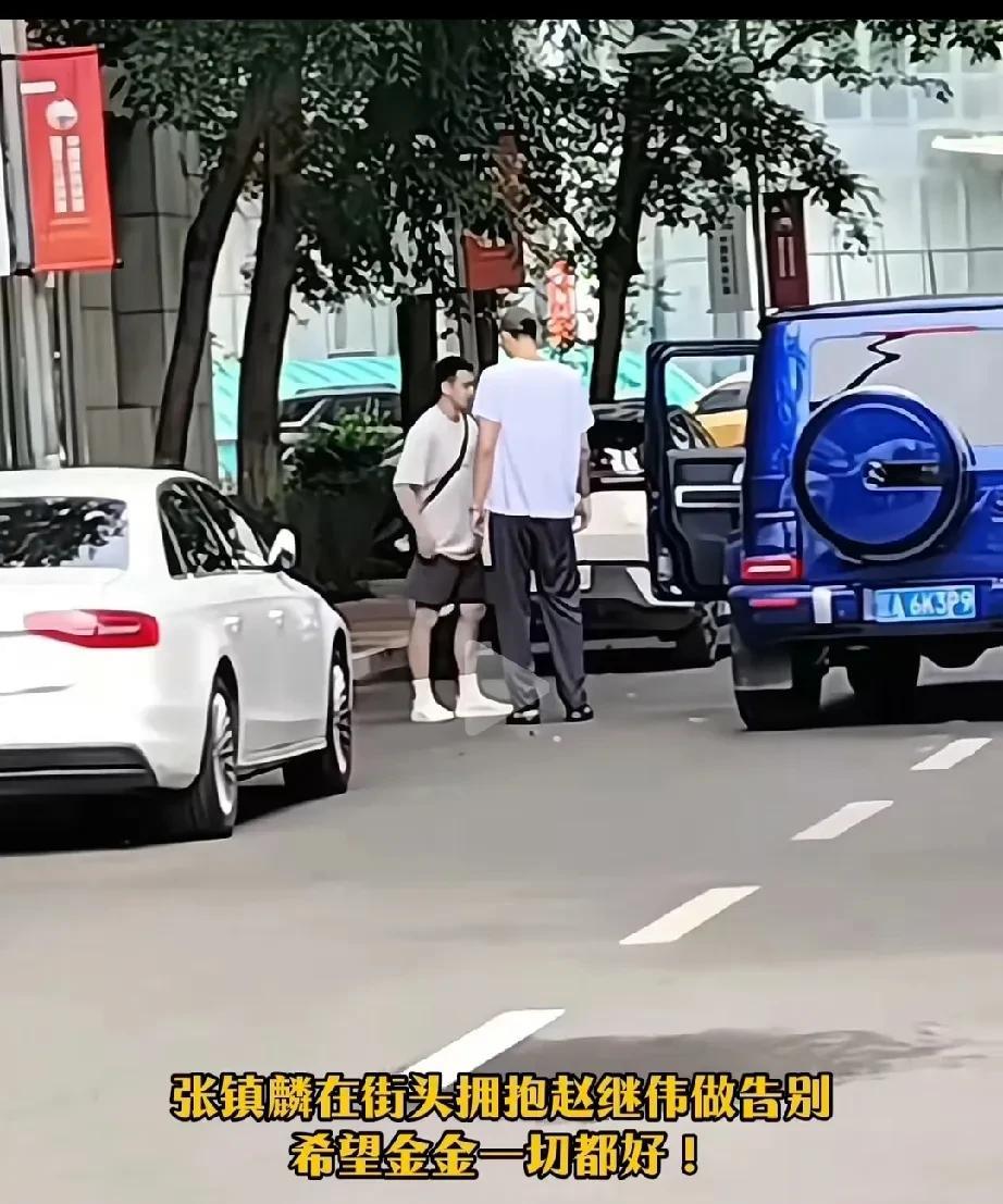 张镇麟赵继伟街头拥抱告别！张镇麟被联系到上海后，也就意味着曾经的横空出世，奉