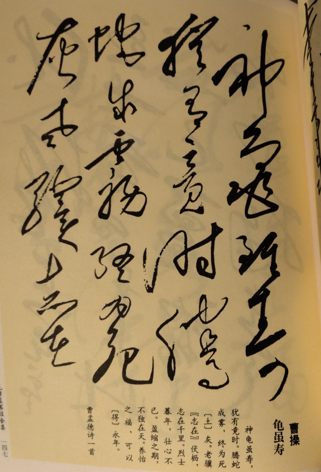 传世经典墨宝！毛主席手书曹操《龟虽寿》（部分）真迹赏析伟人一生偏爱曹操诗文