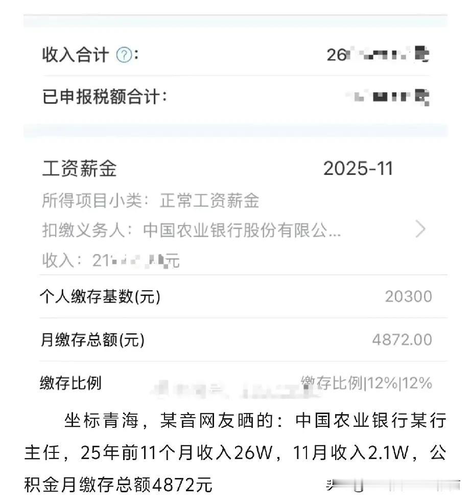 农行（青海）某行主任2025薪资收入!