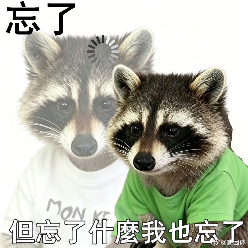 记性memes迷译图