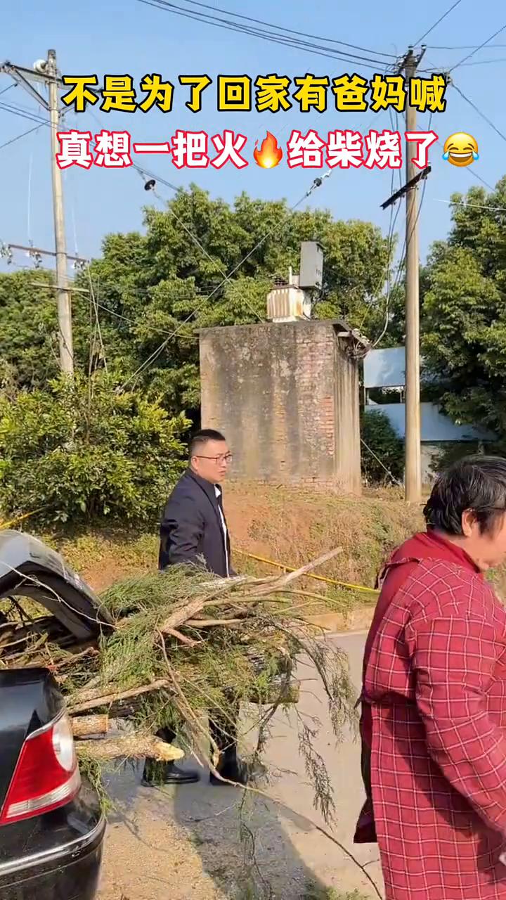 不是为了回家有爸妈喊，真想一把火给柴烧了。