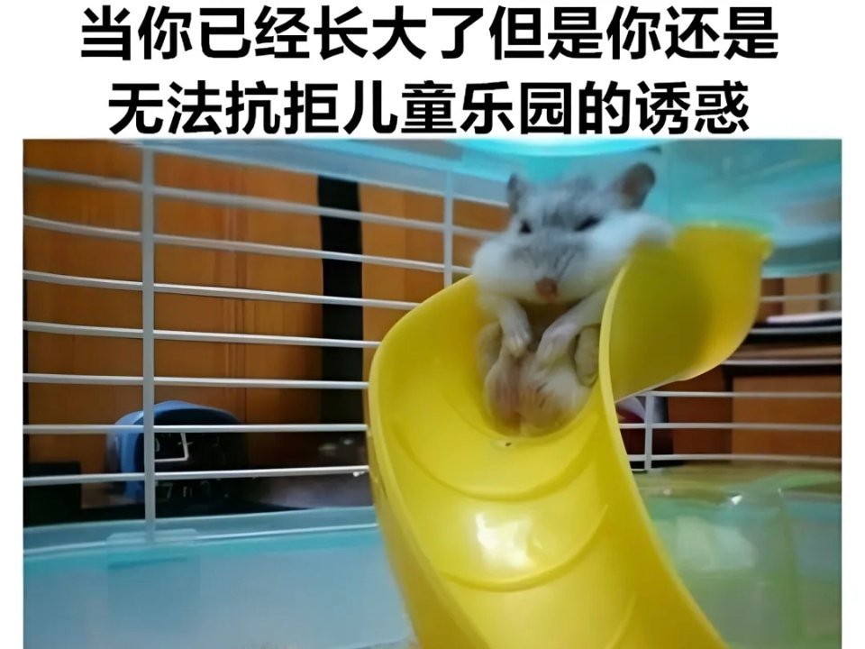 小小的老子meme​​​