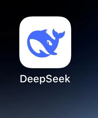 在手机上免费下载了一个DeepSeek软件。上午，向DeepSeek求助了一个问