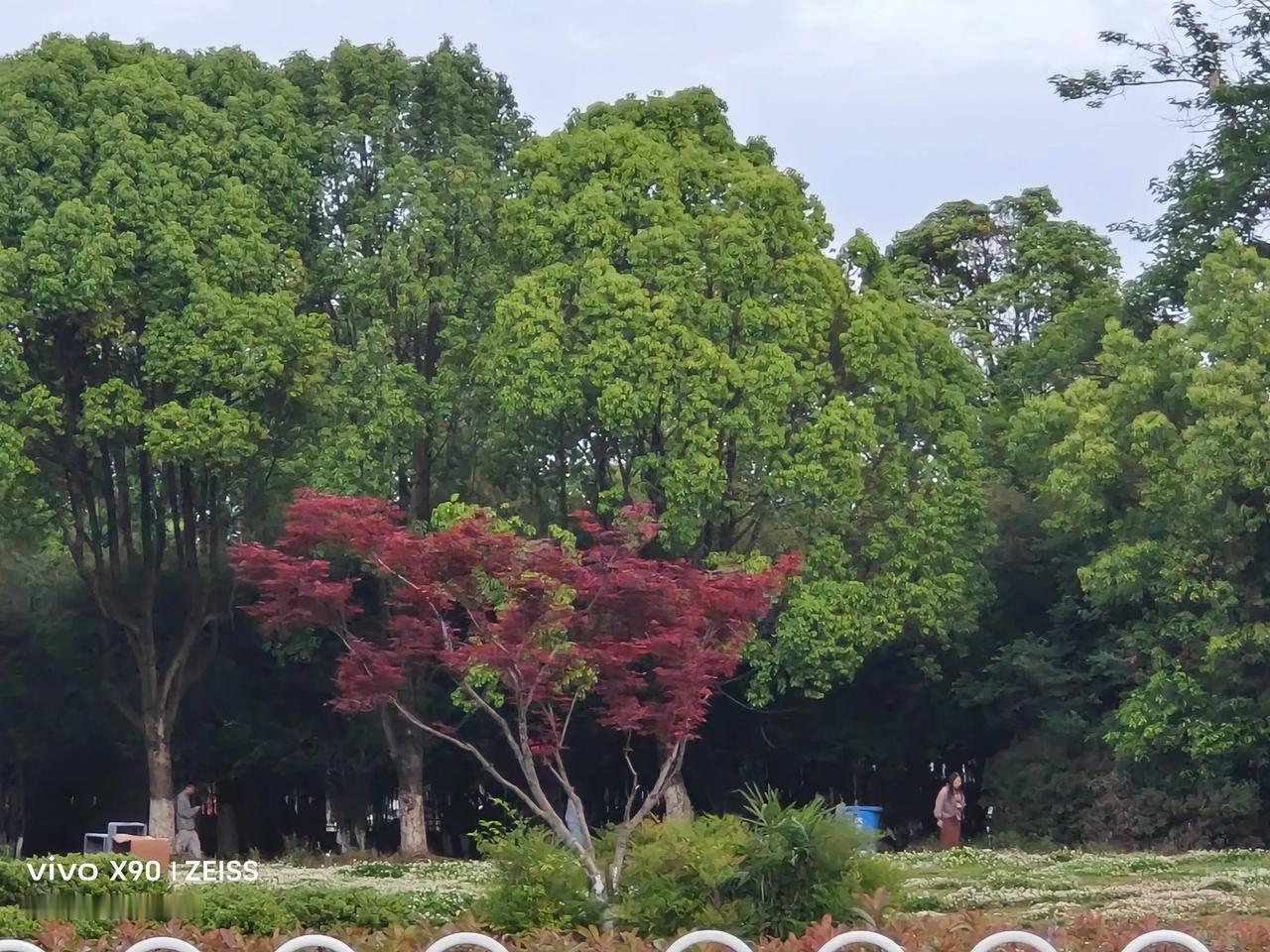 我们嘲笑美国到处都是流浪汉，美国人嘲笑我们996，美国人一天的工资可以买一台TC