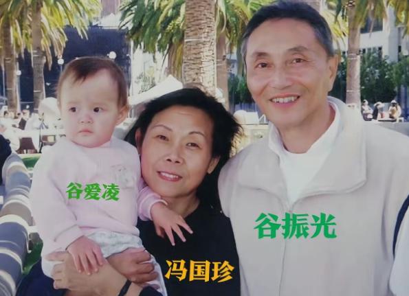 谷振光，是谷爱凌的姥爷，人长得清瘦而儒雅，他的性格很好，做事也很有耐心。谷爱