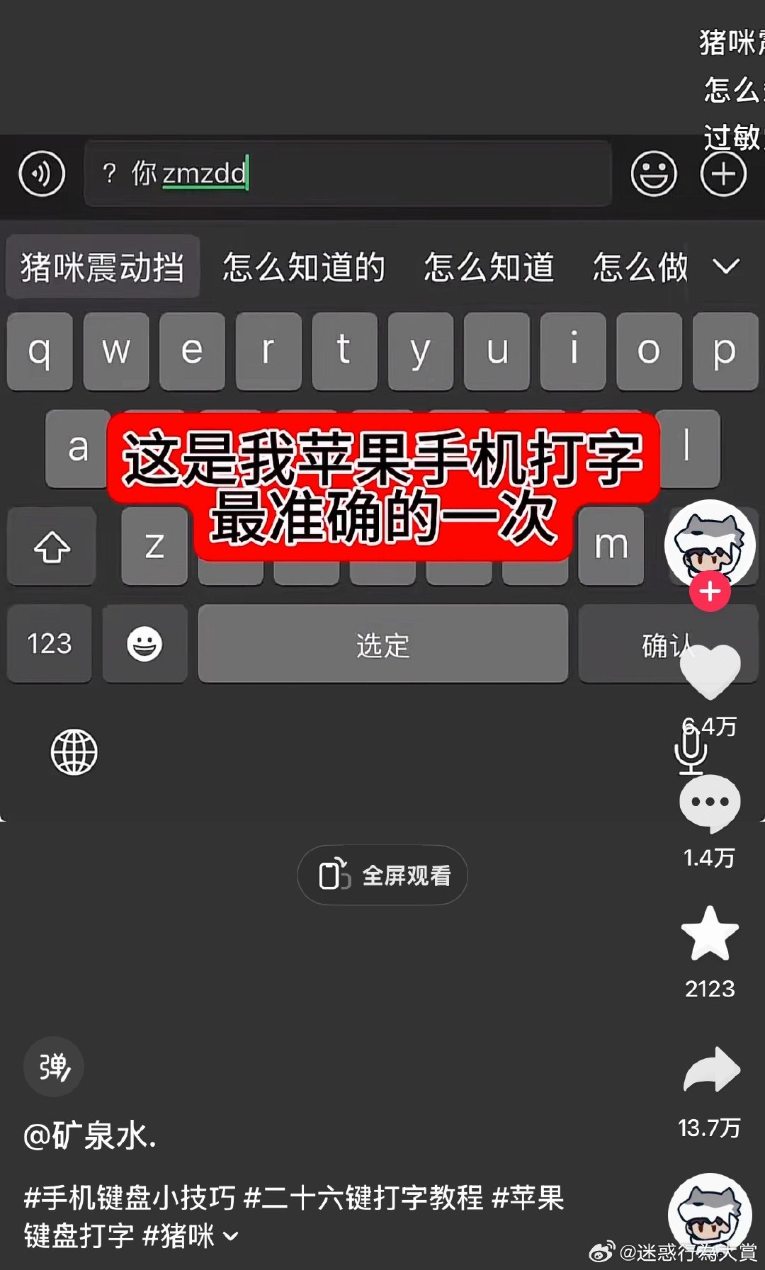 猪咪震动档​