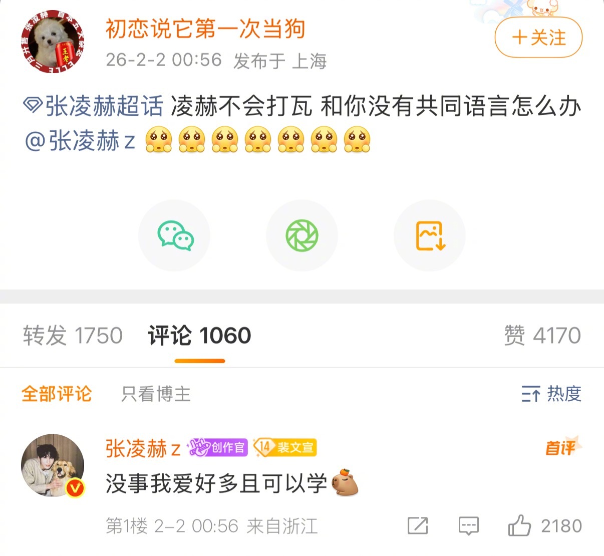 张凌赫把小核桃宠成胚胎了