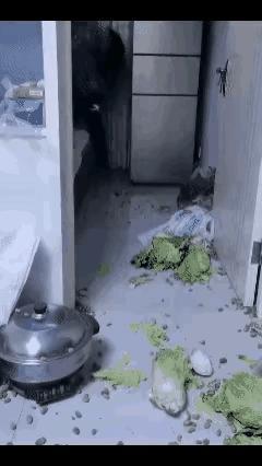 母亲从老家一路倒车折腾，就为了给儿子送点自家种的新鲜蔬菜。儿子看着母亲辛苦，临走