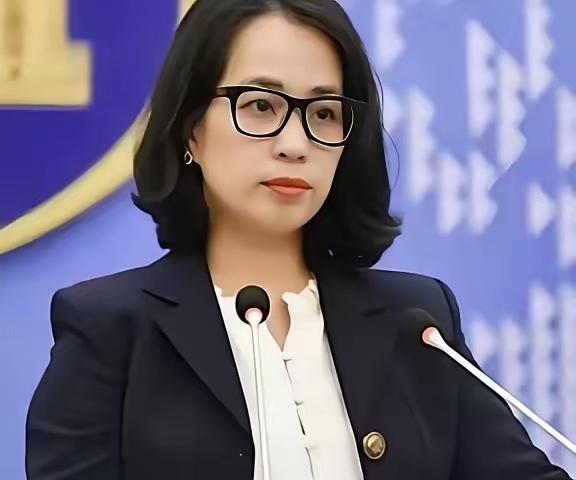 2026年6月回头看越南南北高铁——这事儿远不止是"谁来修路"的生意。越南国会2