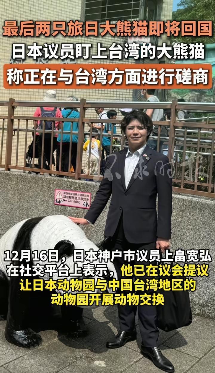 小鬼子的“鬼点子”就是多！！旅日大熊猫将于明年1月回国，由于现在的中日关系已到