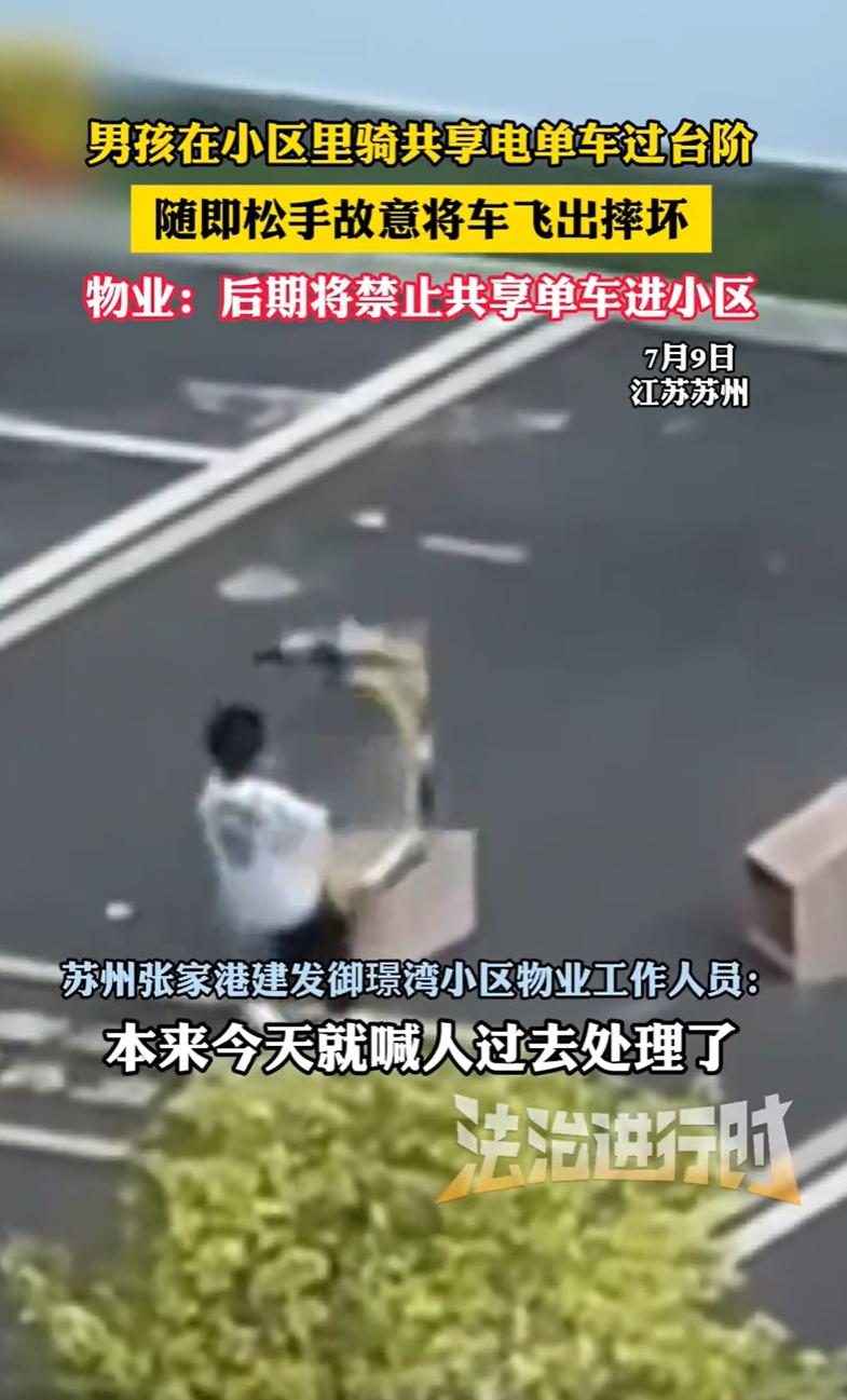 江苏苏州，一男孩骑共享电单车过台阶时，故意撒手，让车子像“炮弹”一样飞出去摔烂，