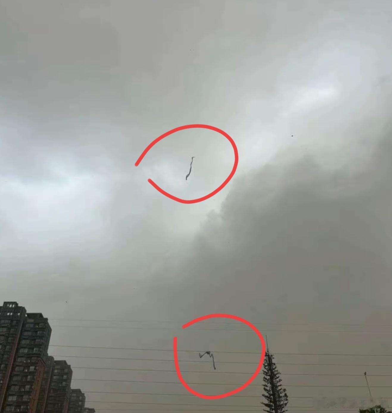 西安雷雨夜再现龙形不明飞行物你要说是这个怎么看也不会像什么生物，倒是像塑料纸什么