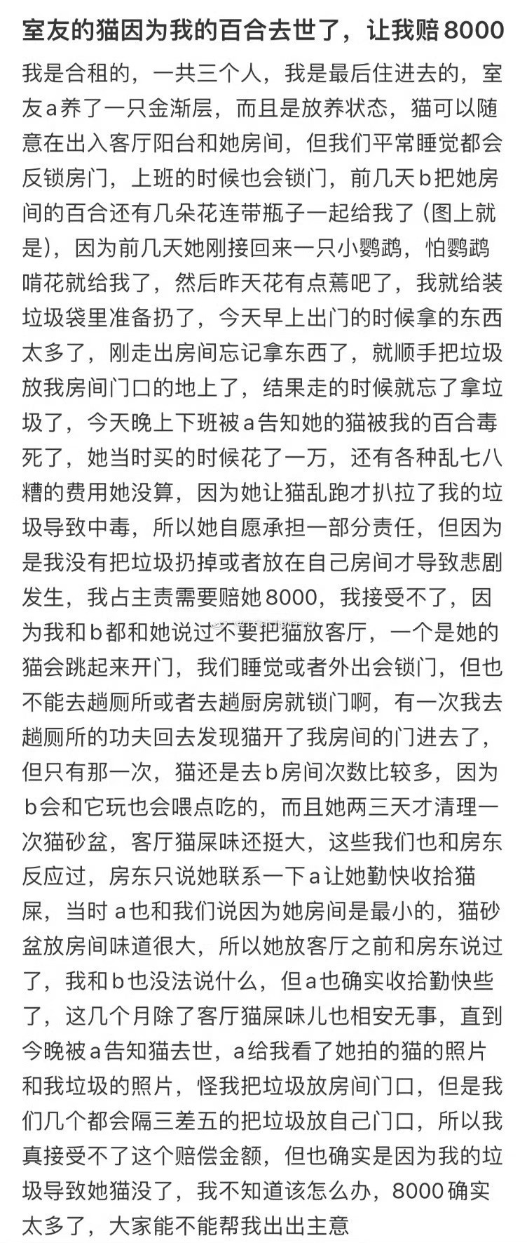 室友的猫因为我的百合去世了，让我赔8000被猫杀掉的概率不是0