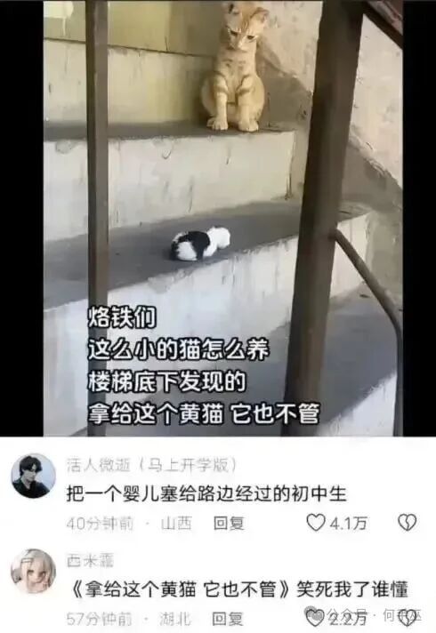 这个黄毛一个月前也这样