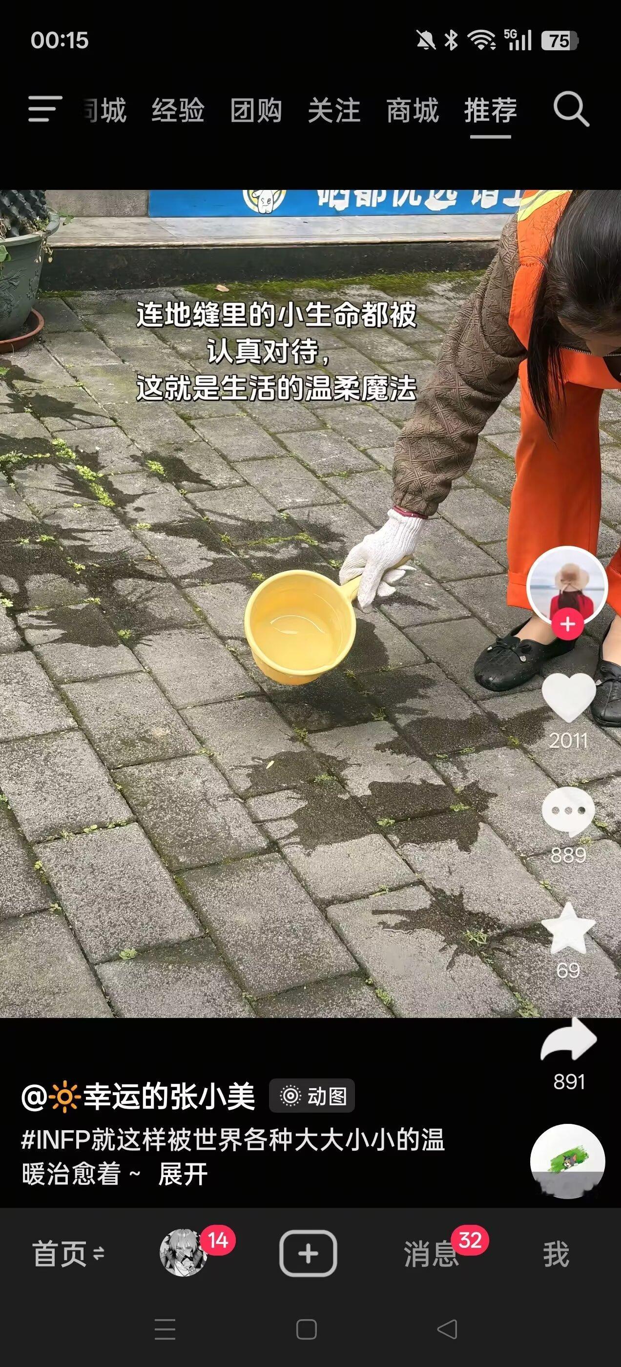 9051我感觉我活着就像这个草一样
