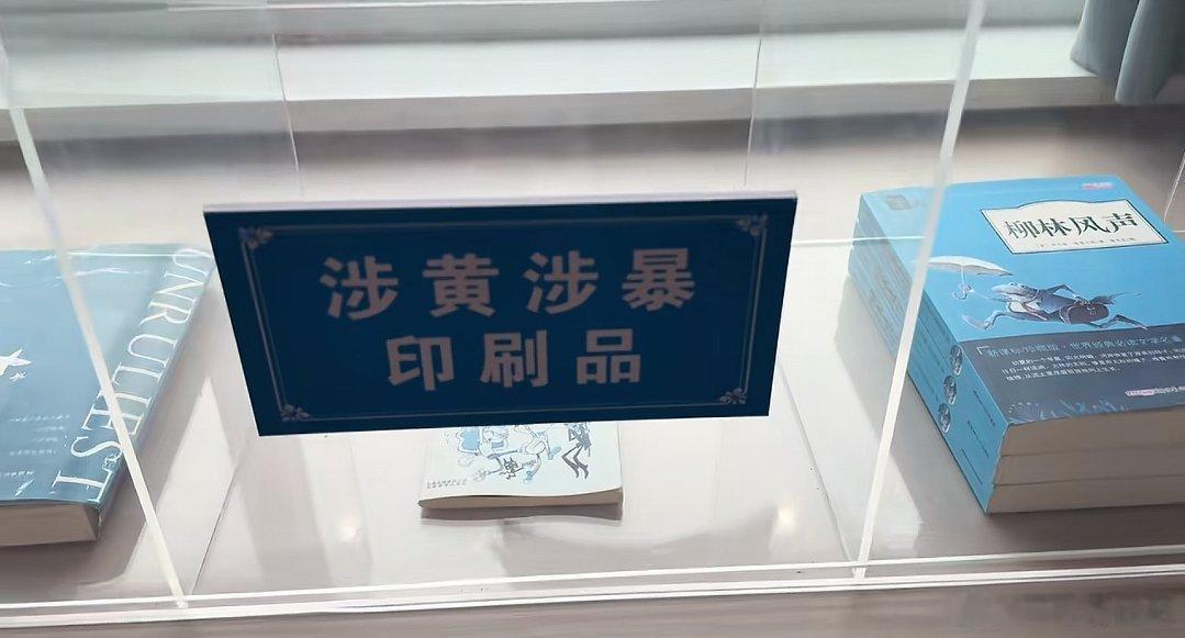 不儿，这里面竟然还有阿衰，我在想阿衰已经够衰了吧