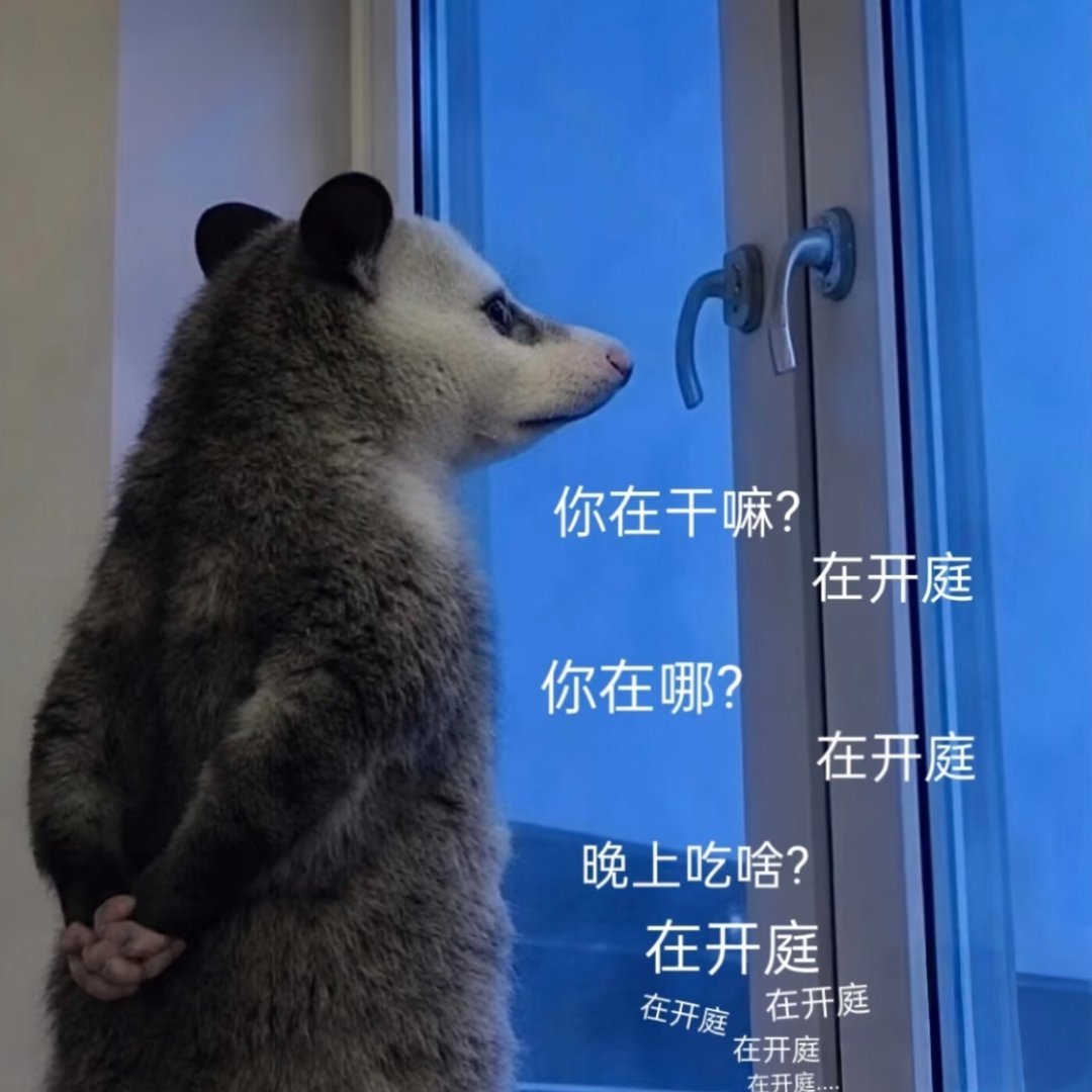 我每天belike：
