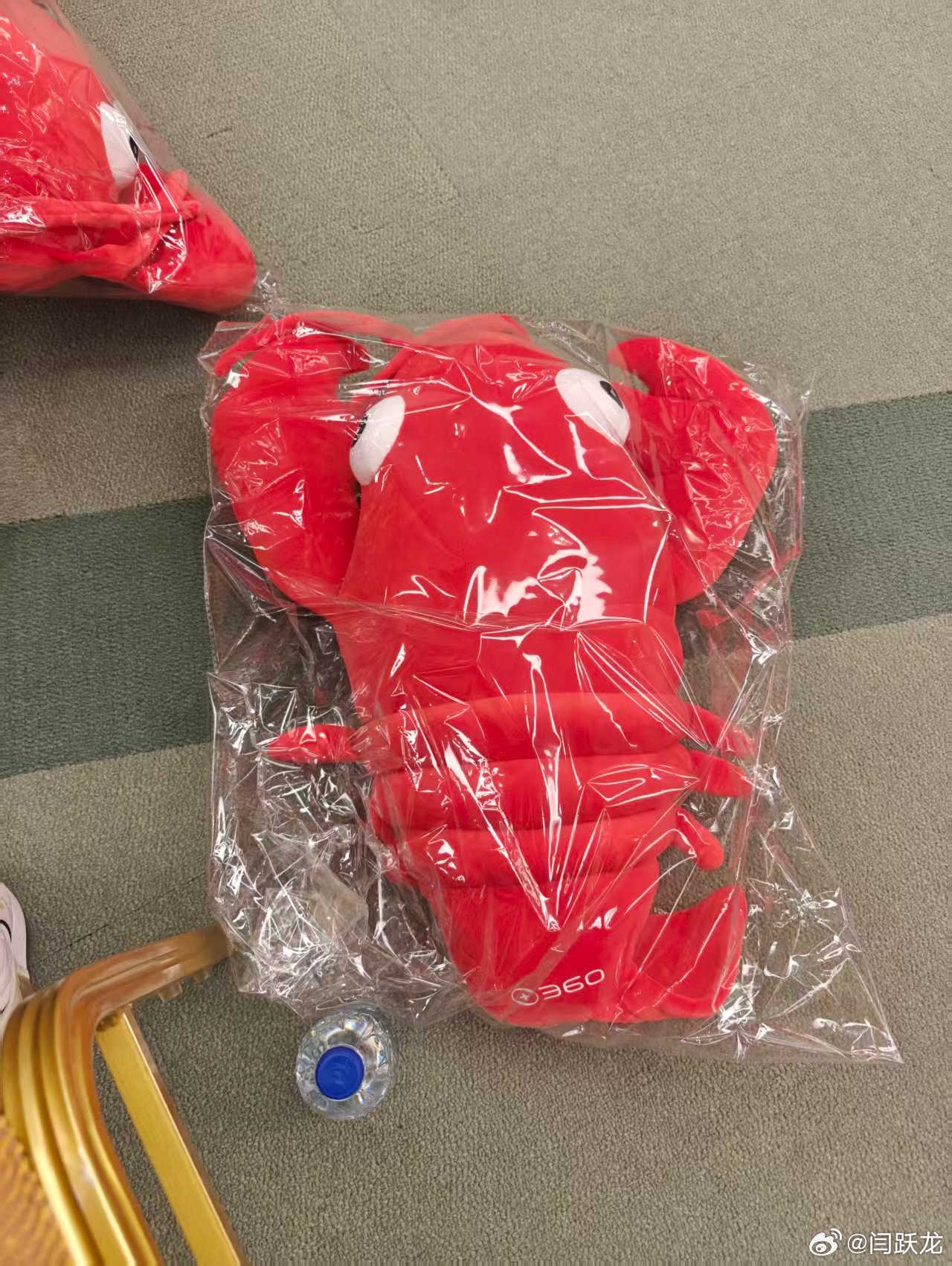 关于龙虾安全。