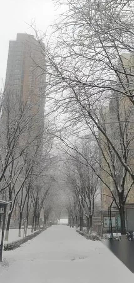 中年人炫富新套路？寒假花三万补课却…现在家长真难啊！眼看孩子放寒假，一边