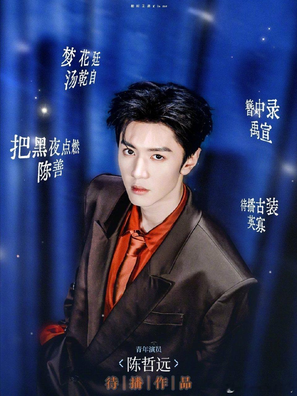 陈哲远主页访问量955万，全内娱断层第一，热度这么大怎么不算951？