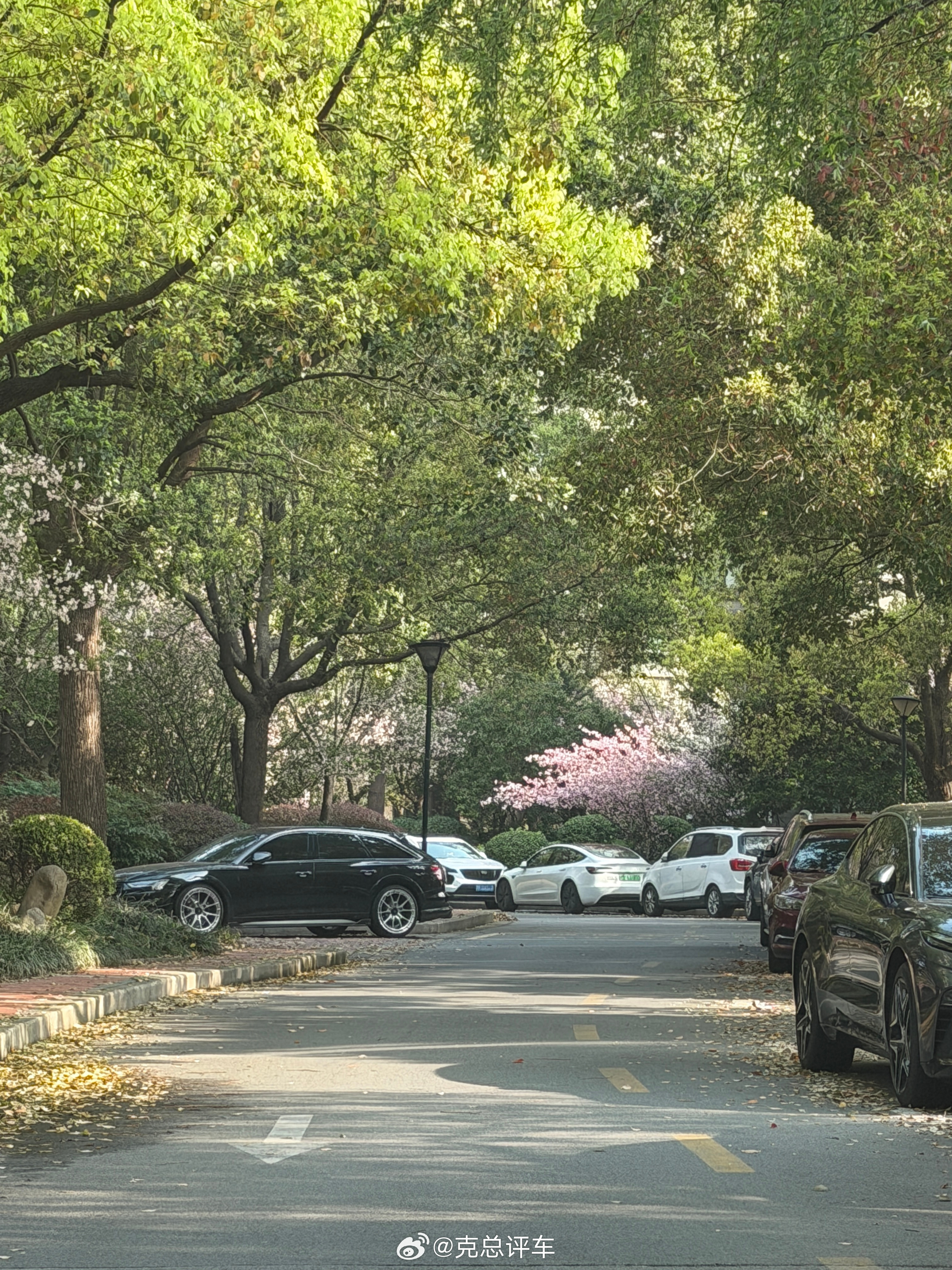 又到了小区最美的时候！上海