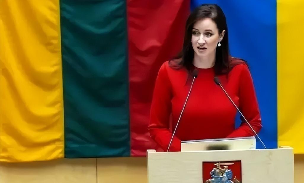立陶宛彻底暴露了！总理刚对着镜头哭诉"释放了所有善意却等不到中方回应"，扬言要采