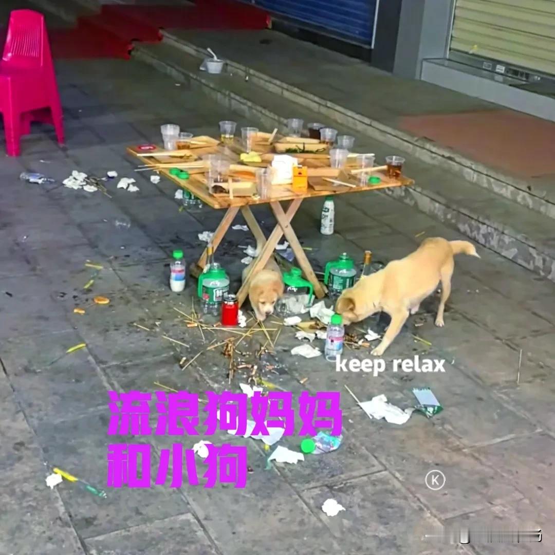 每当夜深人静，烧烤摊准备要收拾的时候，一只流浪狗妈妈，总会带着它的孩子出现在这里