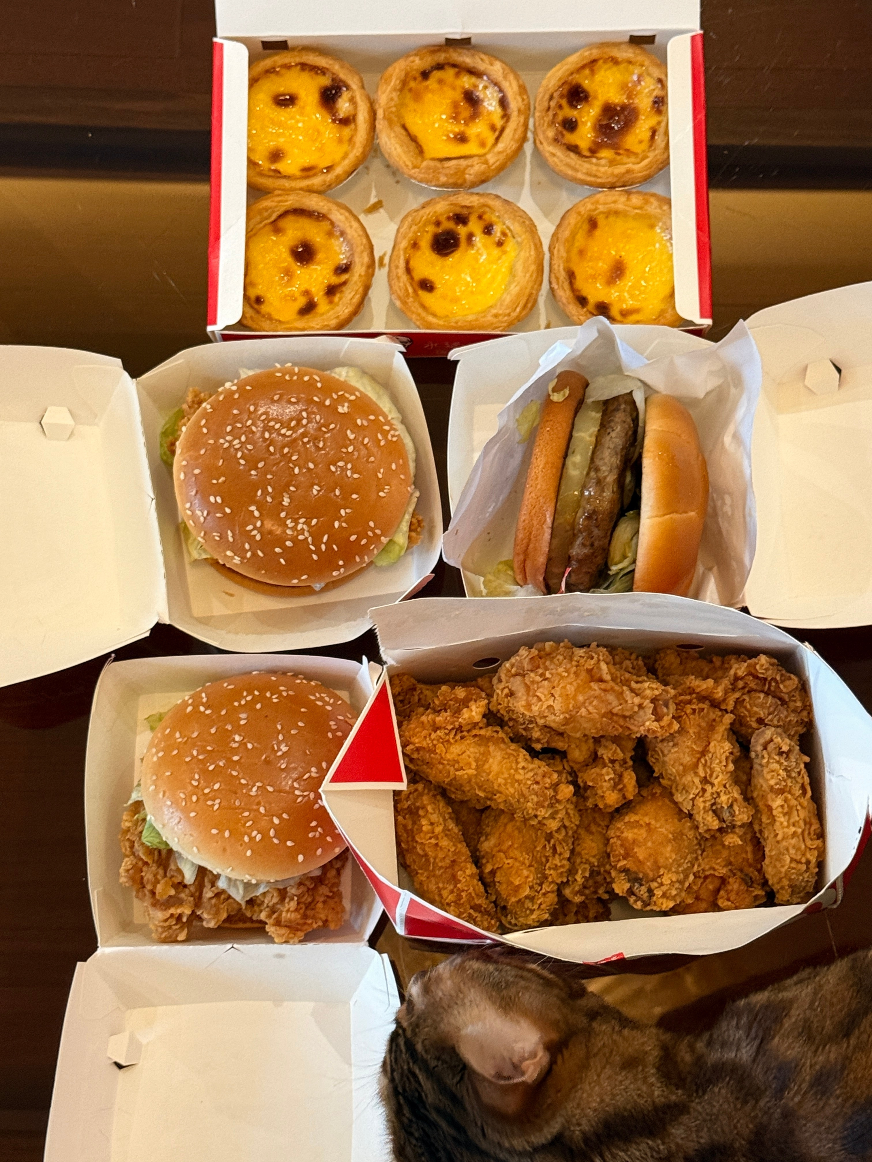 朴素的一餐我和小酱的午饭