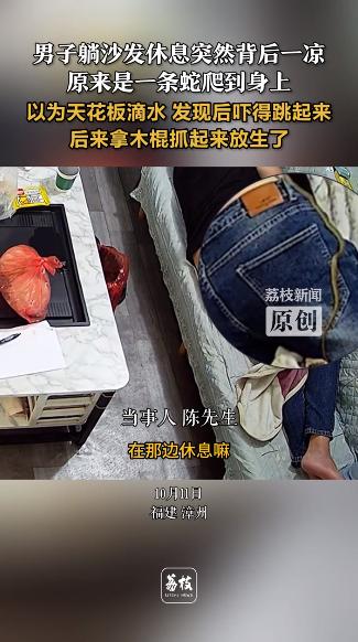 “这谁能想到！”10月11日福建漳州的陈先生下午在家午休，躺在沙发上时忽觉后背发