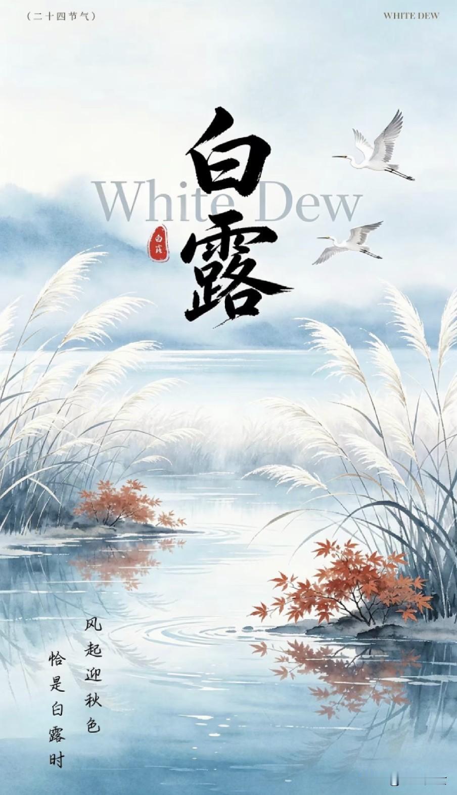 “早白露冻死牛，晚白露暖烘烘”，今日白露，今年冬季会很冷吗今日白露，老话“早白