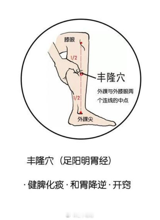 降脂可以试下这个方法，拍打双侧的丰隆穴和解溪穴，可以买一个拍痧板，拍打出痧既可，