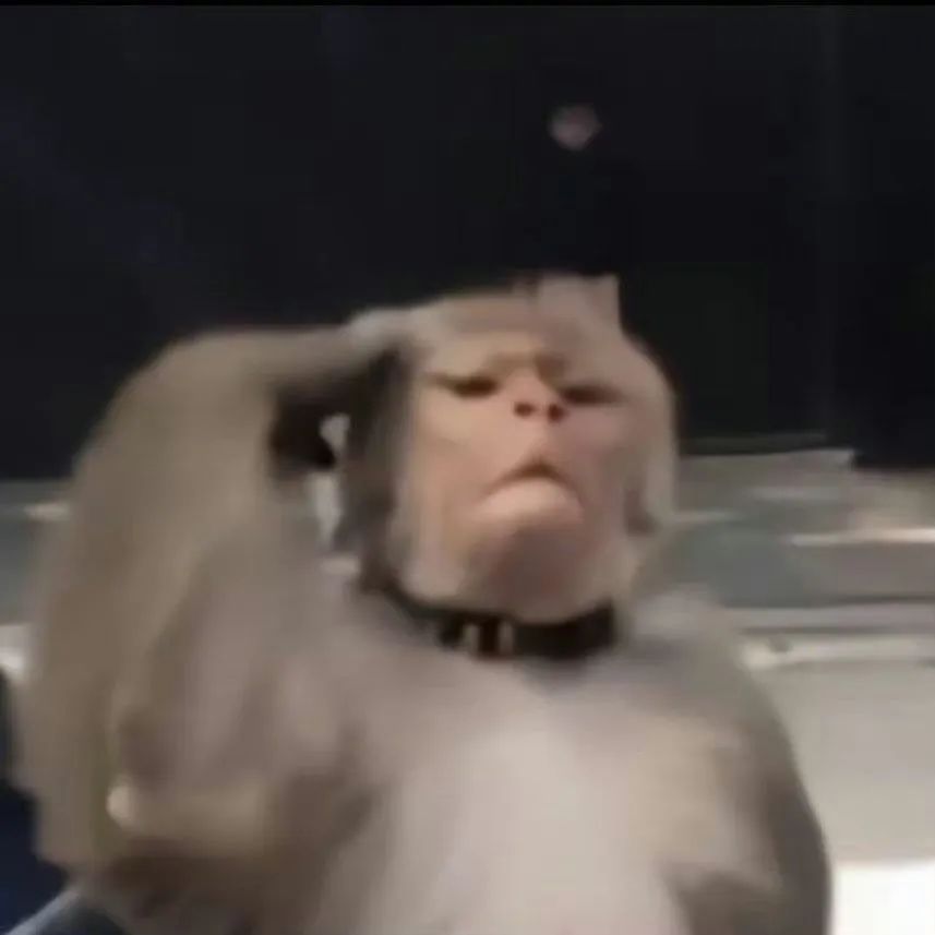 这波猴子吗喽表情包太上头了