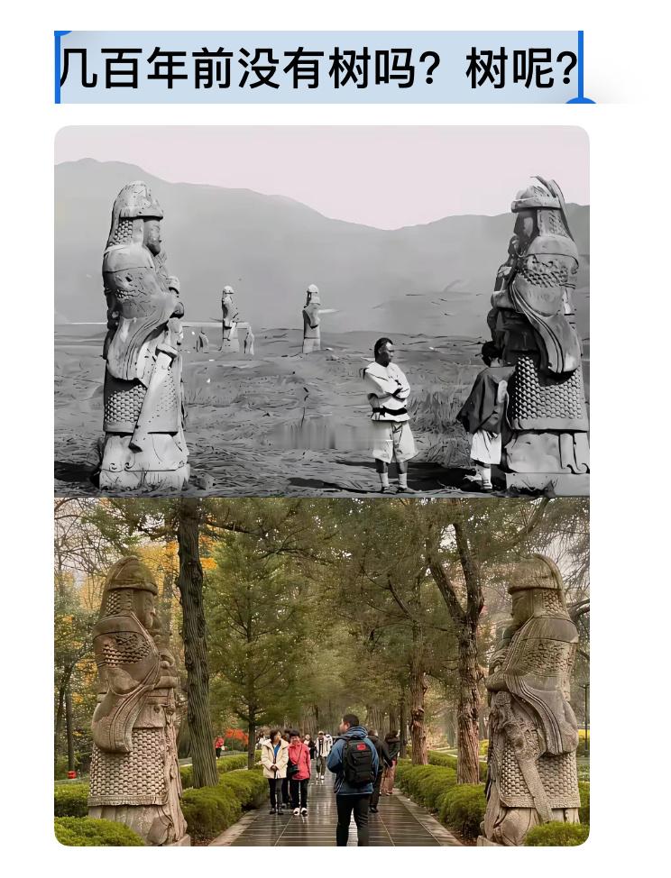 几百年前没有树吗？树呢？