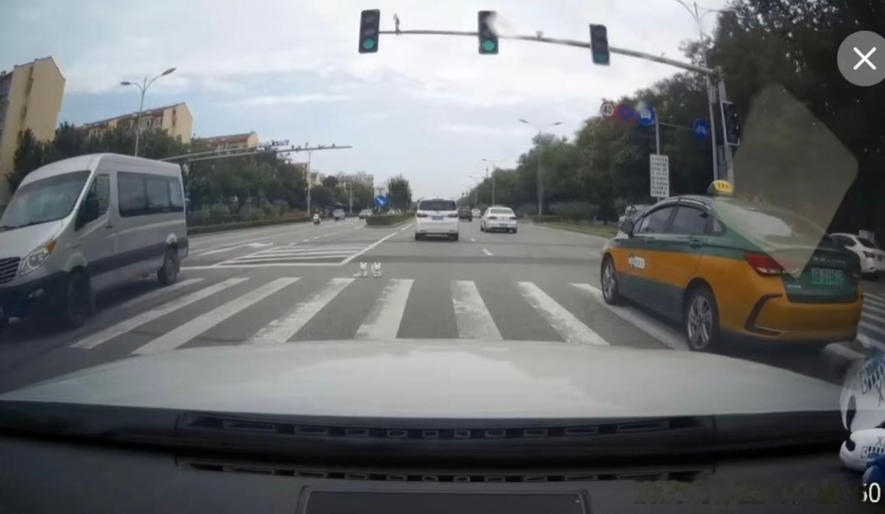 在路口放两只招财猫是什么用意？怎么看着这么诡异🌚🌚🌚​​​