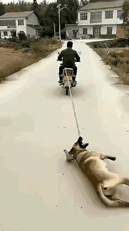 你怎么对待它，它就怎么对待你。所以，最后的结果怎么看怎么过瘾！