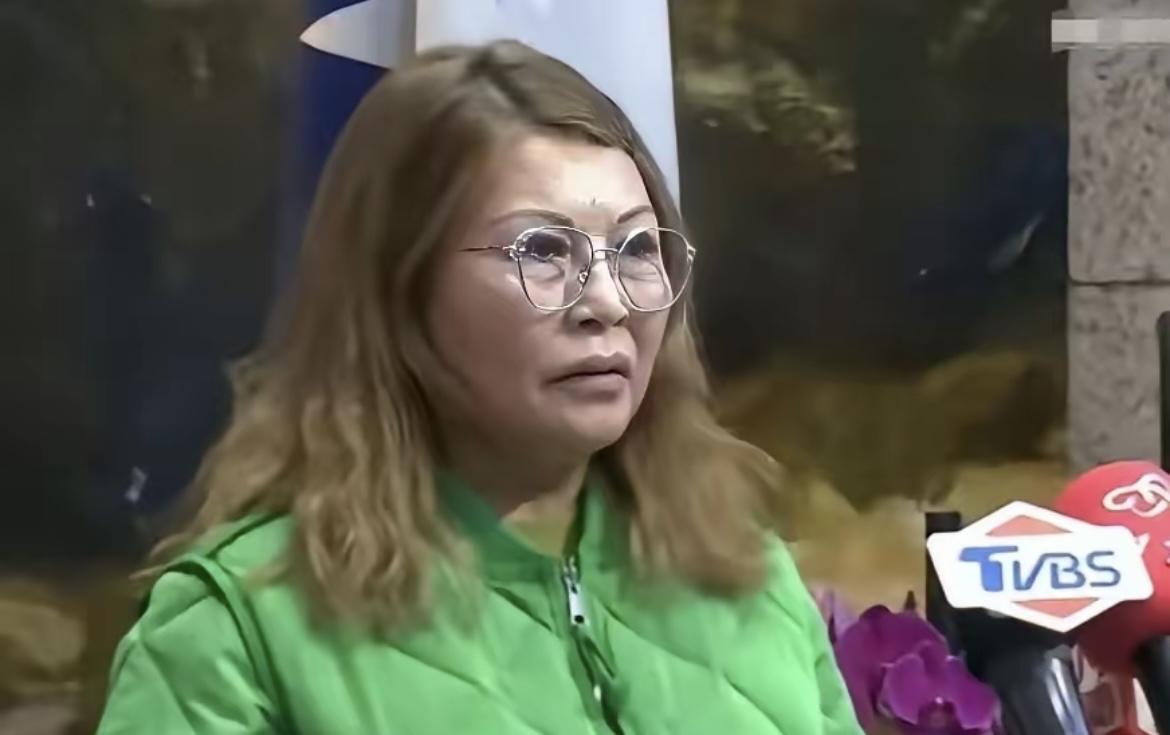 何鹰鹭怒撕国民党遮羞布：“都是中国人”到底是哪国的中国人？湖北姑娘何鹰鹭太刚了！