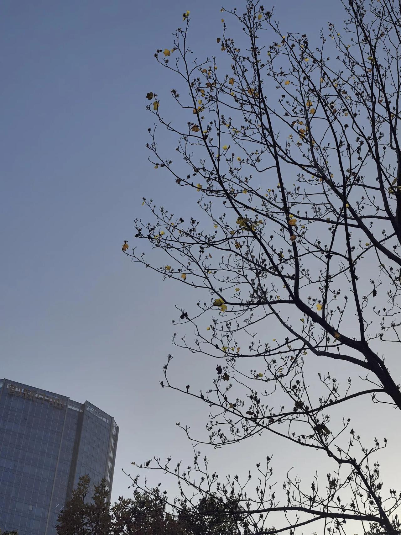 失业后撒了好多谎。自从我失业了之后，就跟家里撒了好多慌，比如还在上班，还在加班