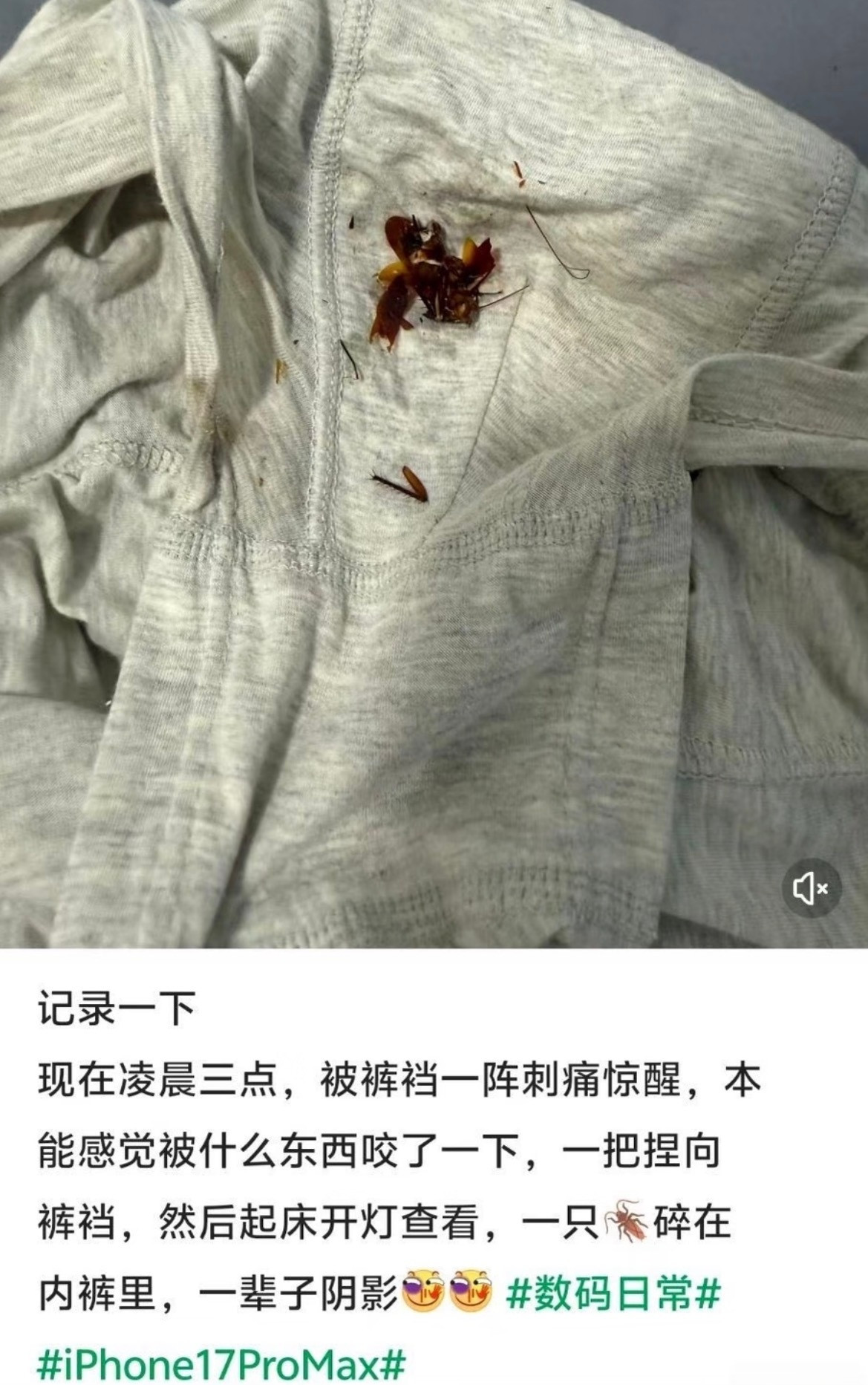 卧槽啊我真的尖叫了