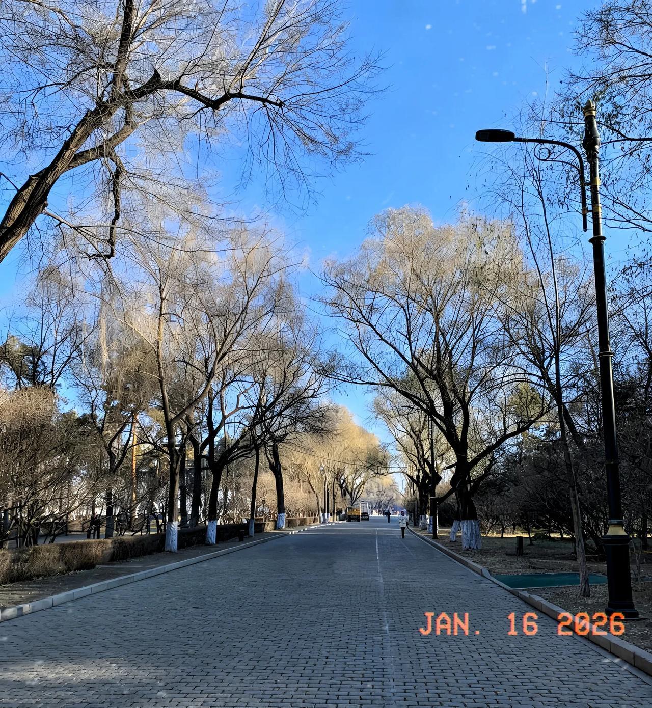 注意了！大家都做好心理准备！从明天开始到1月20号，各地将进入“四九天”