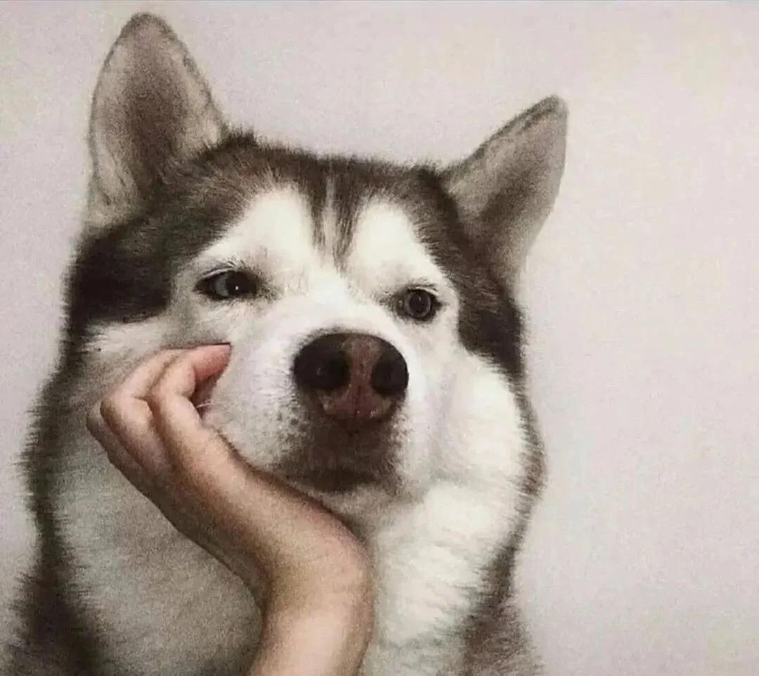 为啥现在的女孩张口闭口就是：为啥要给他家干活，为啥要伺候他家人，为啥要给他